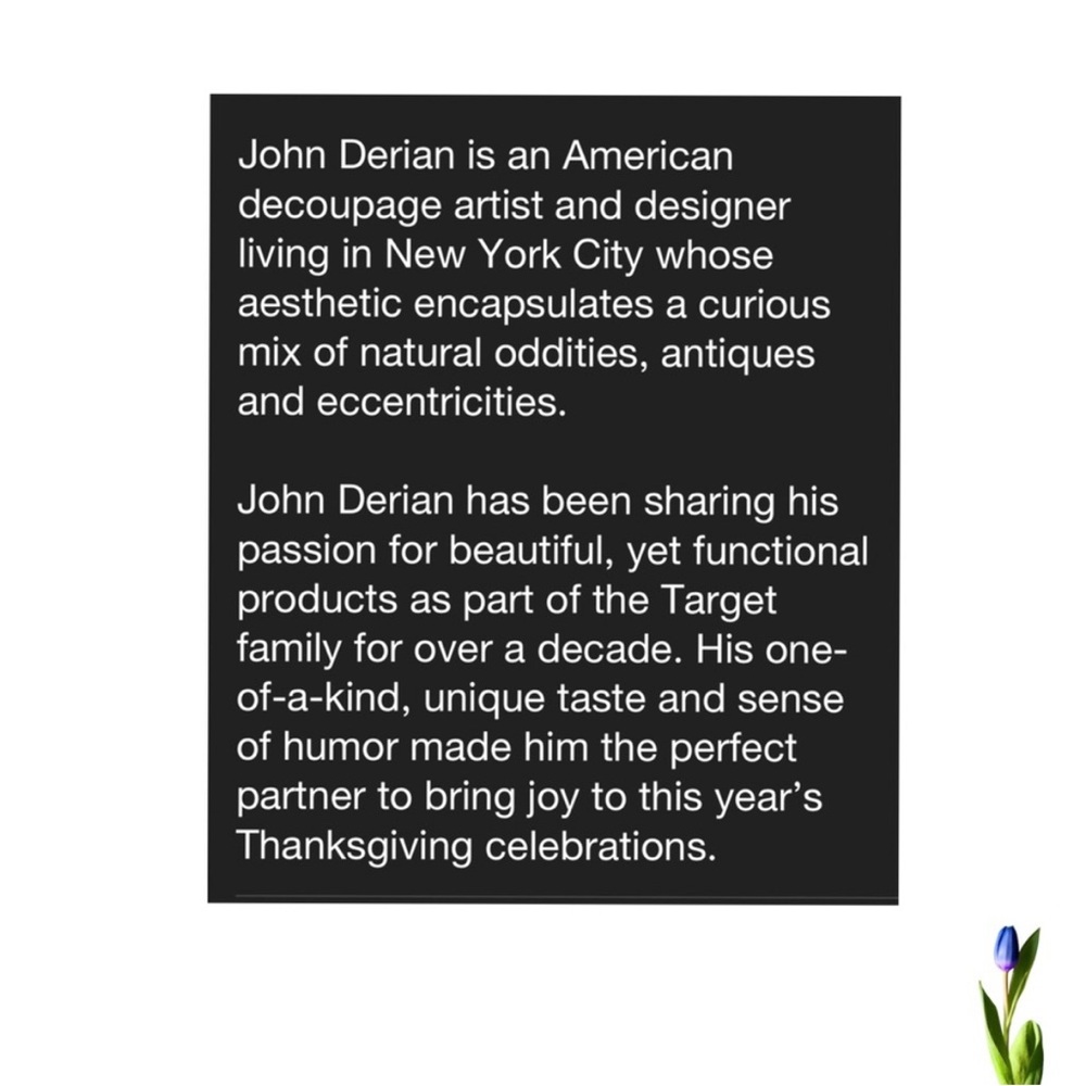 John Derian Chicken
Beaded Pillow 14X13 New - Picture 6 of 8